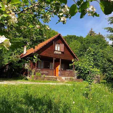 Casa Lacramioara Sîmbăta de Sus Kültér fotó