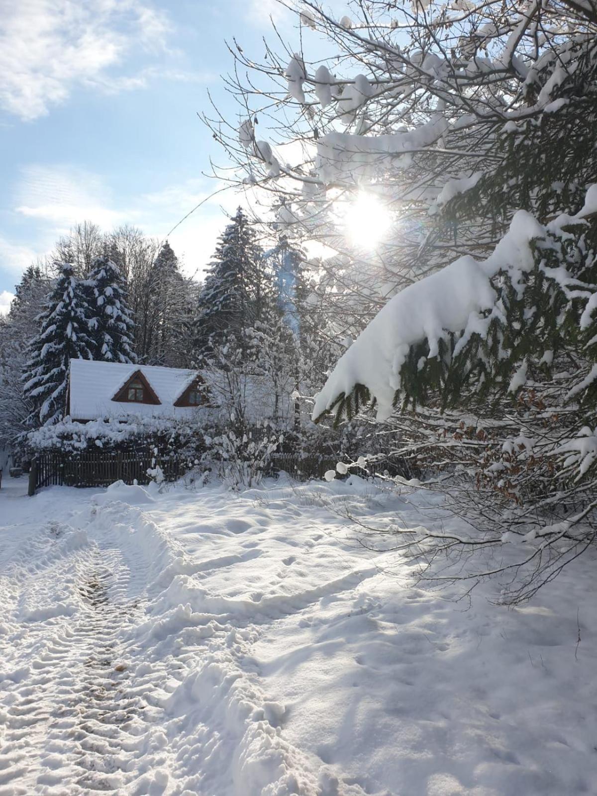 Casa Lacramioara Villa Sîmbăta de Sus Kültér fotó