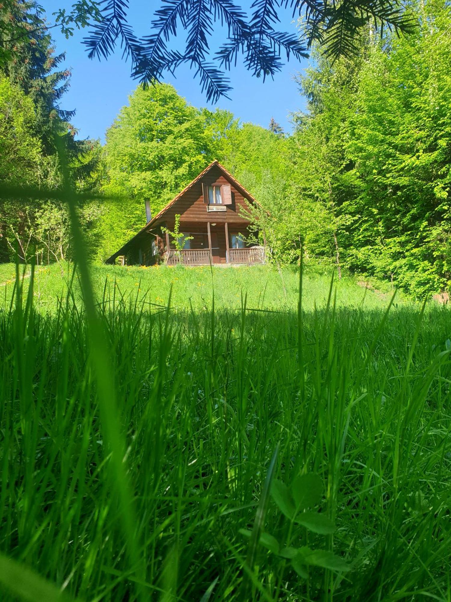 Casa Lacramioara Villa Sîmbăta de Sus Kültér fotó