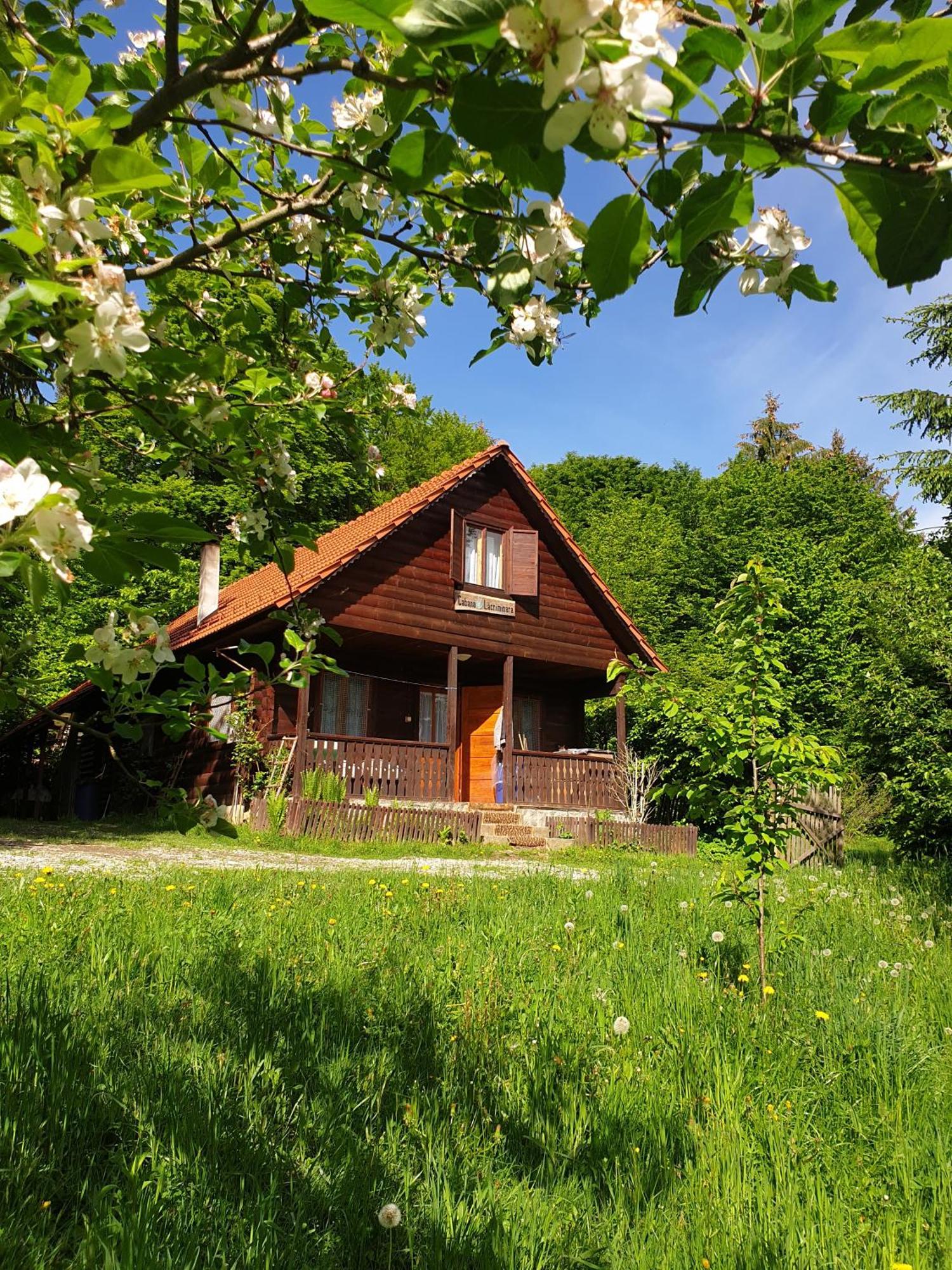 Casa Lacramioara Sîmbăta de Sus Kültér fotó