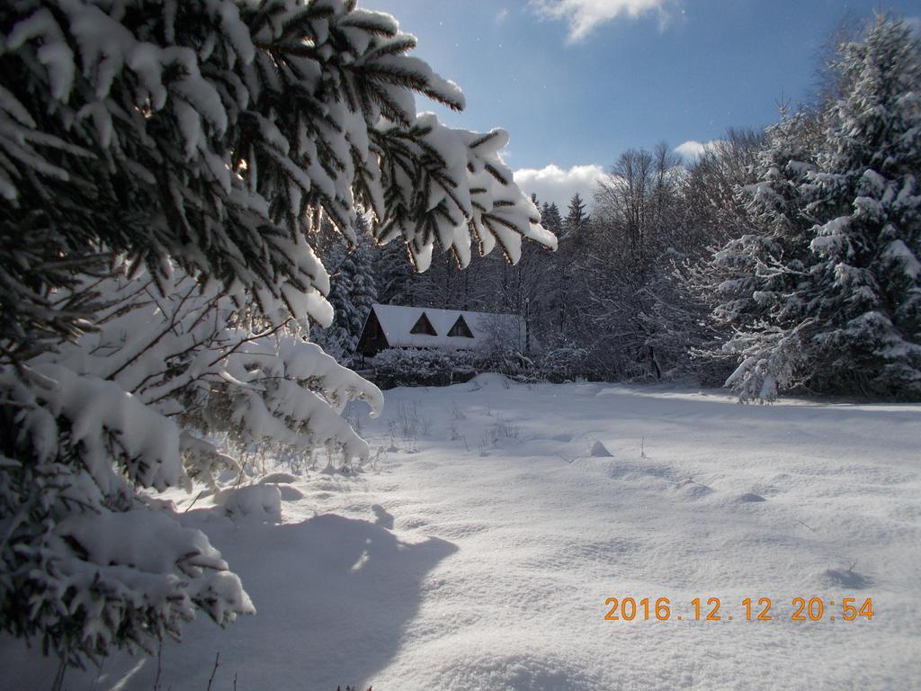 Casa Lacramioara Villa Sîmbăta de Sus Kültér fotó